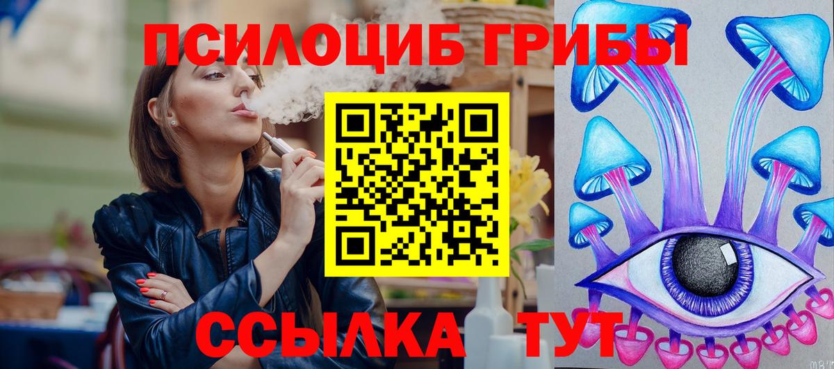 Псилоцибиновые грибы Psilocybine cubensis Дмитров