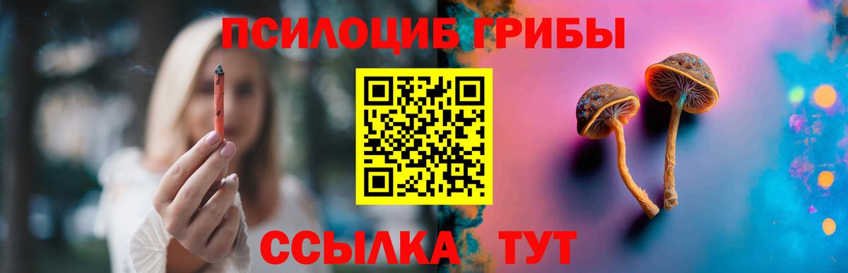 Галлюциногенные грибы GOLDEN TEACHER  Вход с VPN  Дмитров 
